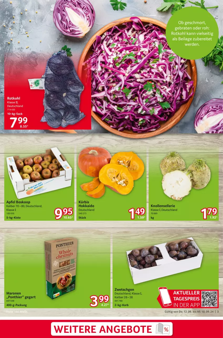 Aktueller Prospekt Selgros - Food - von 12.09 bis 18.09.2024 - strona 3 - produkty: angebot, angebote, apfel, elle, korb, Kürbis, rotkohl, sac, Ti