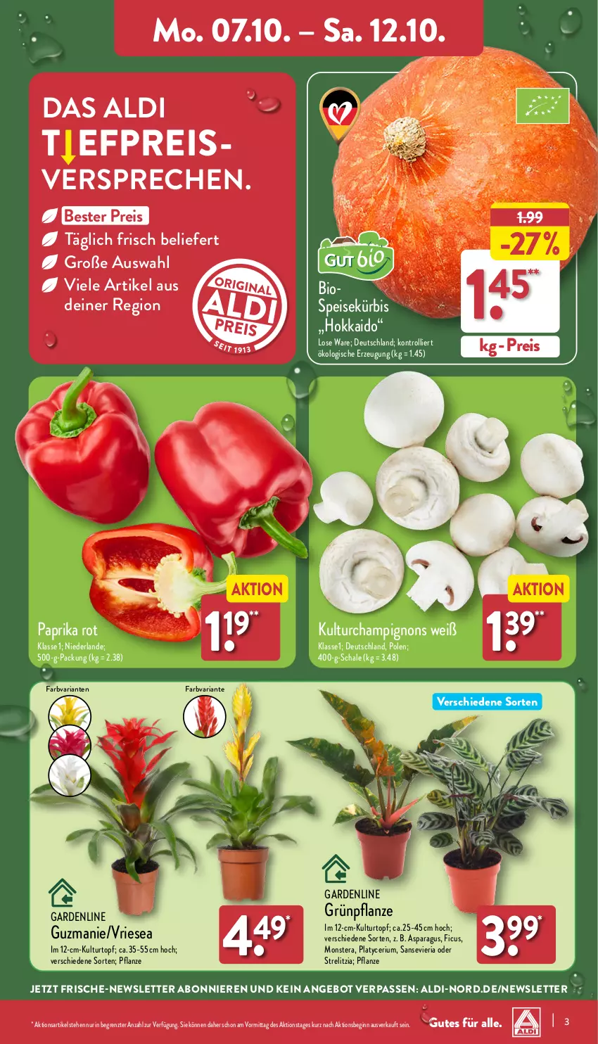 Aktueller Prospekt Aldi Nord - Von Montag - von 07.10 bis 12.10.2024 - strona 3 - produkty: aldi, angebot, bio, champignon, champignons, eis, Ficus, gin, kulturtopf, Kürbis, monster, Monstera, paprika, paprika rot, pflanze, reis, rel, Ria, Schal, Schale, Ti, topf, trolli, ZTE