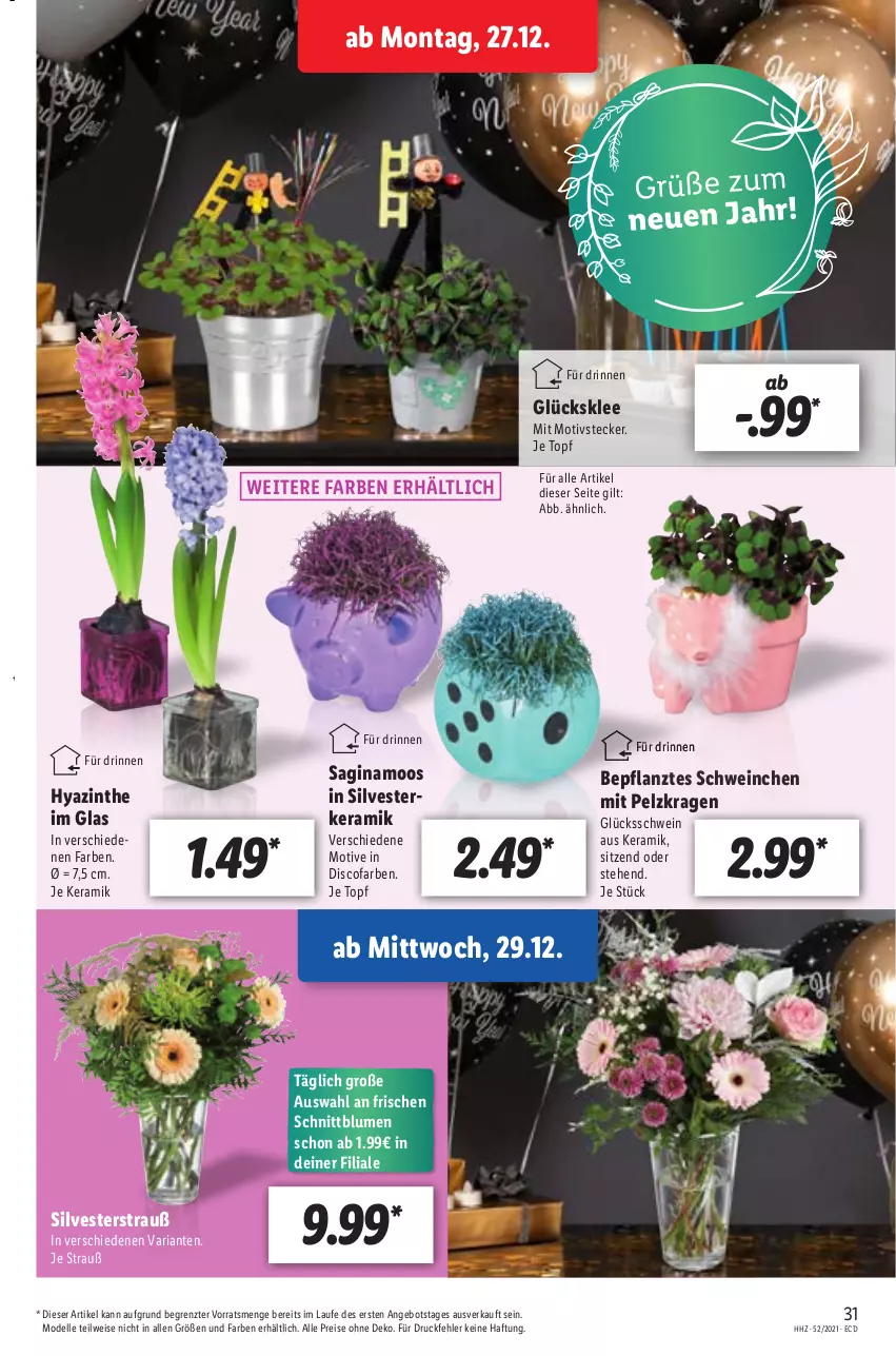 Aktueller Prospekt Lidl - Aktionsprospekt - von 27.12.2021 bis 01.01.2022 - strona 31 - produkty: angebot, blume, blumen, dell, eis, elle, gin, glücksklee, Mode, reis, Ria, schwein, Ti, topf, wein, ZTE