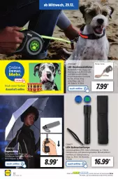 Gazetka promocyjna Lidl - Aktionsprospekt - Gazetka - ważna od 01.01 do 01.01.2022 - strona 32 - produkty: auer, auto, batterie, batterien, crivit, eis, Lampe, led-licht, leine, ndk, Schal, Schale, Tasche, taschen, taschenlampe, Ti, Tiere