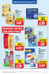 Gazetka promocyjna Lidl - Aktionsprospekt - Gazetka - ważna od 01.01 do 01.01.2022 - strona 45 - produkty: angebot, barilla, brause, Brausetabletten, Cillit, cillit bang, domestos, drogerie-artikel, eis, elvital, preisvorteil, reis, shampoo, tablet, tablett, Tablette, Ti, vita, vollwaschmittel, waschmittel, ZTE