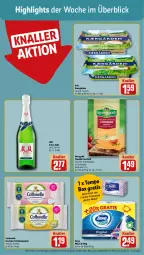 Gazetka promocyjna Rewe - Prospekte - Gazetka - ważna od 09.12 do 09.12.2023 - strona 2 - produkty: arla, Becher, cheddar, cottonelle, elle, feuchtes toilettenpapier, Käse, kerrygold, mm extra, papier, schnittkäse, sekt, Tempo, Ti, toilettenpapier, zewa