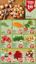 Gazetka promocyjna Rewe - Prospekte - Gazetka - ważna od 09.12 do 09.12.2023 - strona 9 - produkty: bio, blume, blumen, braun, champignon, champignons, eis, feldsalat, kartoffel, kartoffeln, Lauchzwiebel, lauchzwiebeln, LG, möhren, Romatomaten, rosen, salat, salatherzen, Schal, Schale, snack, speisekartoffeln, Ti, tomate, tomaten, topf, Weihnachtsstern, zwiebel, zwiebeln