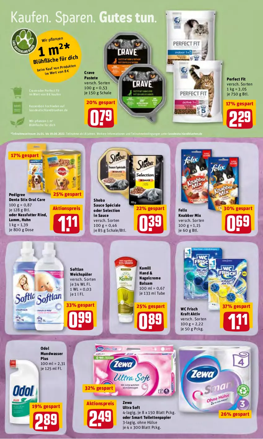 Aktueller Prospekt Rewe - Prospekte - von 31.01 bis 06.02.2022 - strona 18 - produkty: aktionspreis, balsam, creme, eis, felix, Kamill, kraft, lamm, mundwasser, nassfutter, Odol, papier, pastete, pedigree, Perfect Fit, pflanze, pflanzen, reis, rind, sauce, Schal, Schale, sheba, Softlan, ssd, Ti, toilettenpapier, wasser, wc frisch, WC Frisch Kraft Aktiv, weichspüler, zewa