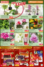 Gazetka promocyjna Norma - Norma - Gazetka - ważna od 17.10 do 17.10.2022 - strona 12 - produkty: Alpenveilchen, aqua, Blüte, Draht, Edelmarzipan, Edelmarzipantaler, frucht, Grünpflanzen, harman, kirsch, kirsche, kuchen, kulturtopf, lachs, Lebkuchen, marzipan, milch, monster, Monstera, orange, Pachira, pflanze, pflanzen, pflaume, Ria, Schal, Schale, schirme, schoko, schokolade, sonnenschirm, Ti, topf, übertopf, vollmilch, Zartbitterschokolade