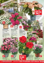Gazetka promocyjna Bauhaus - Prospekte - Gazetka - ważna od 30.04 do 30.04.2022 - strona 14 - produkty: auer, balkonpflanzen, Bau, Bauer, elle, Garten, gartennelke, geranie, geranien, Germ, hortensie, hydrangea, hydrangea macrophylla, Körbchen, LG, mac, Pelargonium, pflanze, pflanzen, Pflanztopf, rum, tee, Ti, topf, übertopf, vita, Yo