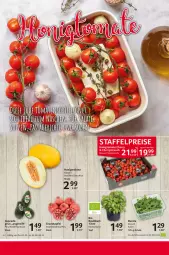 Gazetka promocyjna Selgros - Food - Gazetka - ważna od 08.03 do 08.03.2023 - strona 6 - produkty: avocado, bio, cola, honig, honigmelone, melone, rucola, Schal, Schale, tee, Ti, topf