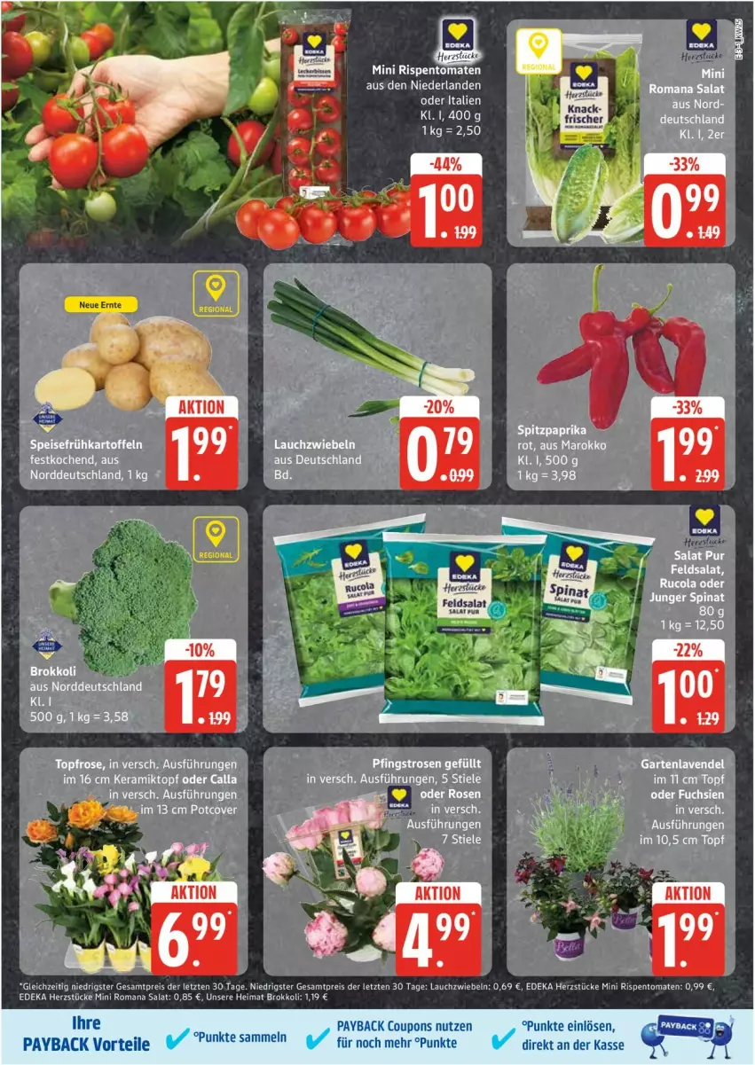 Aktueller Prospekt Edeka - Prospekte - von 16.06 bis 21.06.2025 - strona 3 - produkty: bier, brokkoli, cola, coupon, coupons, deka, eis, feldsalat, Frühkartoffeln, Garten, kartoffel, kartoffeln, Lauchzwiebel, lauchzwiebeln, lavendel, payback, Pfingstrosen, reis, rispentomaten, rosen, rucola, salat, speisefrühkartoffeln, spinat, Ti, tomate, tomaten, topf, ZTE, zwiebel, zwiebeln