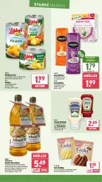 Gazetka promocyjna Wasgau - Gazetka - ważna od 06.04 do 06.04.2024 - strona 19 - produkty: ananas, beutel, Dr. Oetker, eis, flasche, Gesundheit, heinz, ketchup, kochbeutel, Konserven, mayonnaise, obst, omega, Omega-3, oryza, pudding, rapsöl, reis, reis-fit, Spezi, Ti, tomato ketchup, Vegeta, Yo