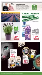 Gazetka promocyjna Wasgau - Gazetka - ważna od 06.04 do 06.04.2024 - strona 24 - produkty: angebot, eis, flasche, lavendel, lenor, mehl, Müller, nassfutter, pflanze, pflanzen, regal, reis, Schal, Schale, sheba, Ti, topf, weichspüler