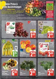 Gazetka promocyjna Edeka - Prospekte - Gazetka - ważna od 24.08 do 24.08.2024 - strona 6 - produkty: Abtei, arlo, Brei, deka, eis, elle, frucht, leine, magazin, Nektar, nektarinen, nektarinen oder, obst, Obst und Gemüse, oder pfirsiche, pfirsich, pfirsiche, reis, Ti, uhd, uhr, und gemüse, ZTE