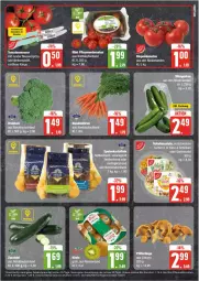 Gazetka promocyjna Edeka - Prospekte - Gazetka - ważna od 24.08 do 24.08.2024 - strona 7 - produkty: bio, eis, Elan, elle, Garten, gurke, gurken, kartoffel, kartoffeln, Käse, messer, pflaume, pflaumen, reis, rispentomaten, salat, schinken, speisekartoffeln, Ti, tomate, tomaten, ZTE, zucchini