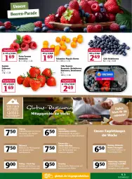 Gazetka promocyjna Globus - Prospekte - Gazetka - ważna od 12.03 do 12.03.2022 - strona 3 - produkty: angebot, angebotspreis, apfel, beere, beeren, blattspinat, braten, bratwurst, brombeere, brombeeren, butter, dell, eier, eis, elle, erdbeere, erdbeeren, filet, fisch, frucht, Geflügel, gurke, gurken, gurkensalat, heidelbeere, heidelbeeren, himbeer, himbeere, himbeeren, kartoffel, kartoffeln, Käse, lachs, lachsfilet, lasagne, mac, mit frucht, mit gemüse, möhren, paprika, petersilie, Physalis, Ragout, reis, rind, rinder, Rinderroulade, rotkohl, salat, salz, sauce, Schal, Schale, senf, spinat, Ti, tomate, tomaten, tomatensauce, Vegeta, Wirsing, wurst