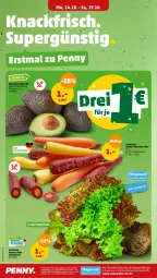 Gazetka promocyjna Penny - Prospekte - Gazetka - ważna od 19.10 do 19.10.2024 - strona 6 - produkty: avocado, bunte salate, eis, fenster, karotten, reis, salat, salate, Ti, ZTE