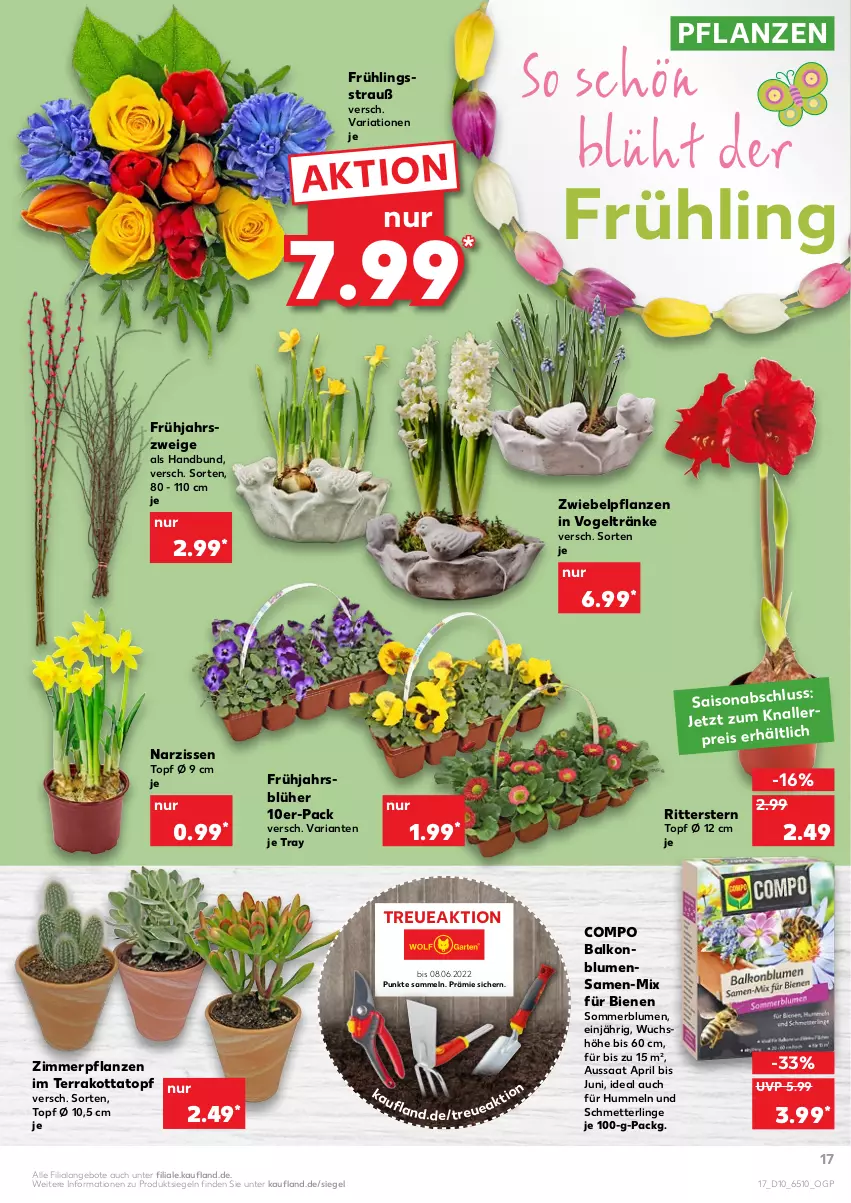 Aktueller Prospekt Kaufland - von 10.03 bis 16.03.2022 - strona 17 - produkty: angebot, angebote, blume, blumen, eis, Mett, Narzissen, pflanze, pflanzen, pril, reis, Ria, ritter, Schmetterling, Ti, topf, topf ø 12 cm, zwiebel