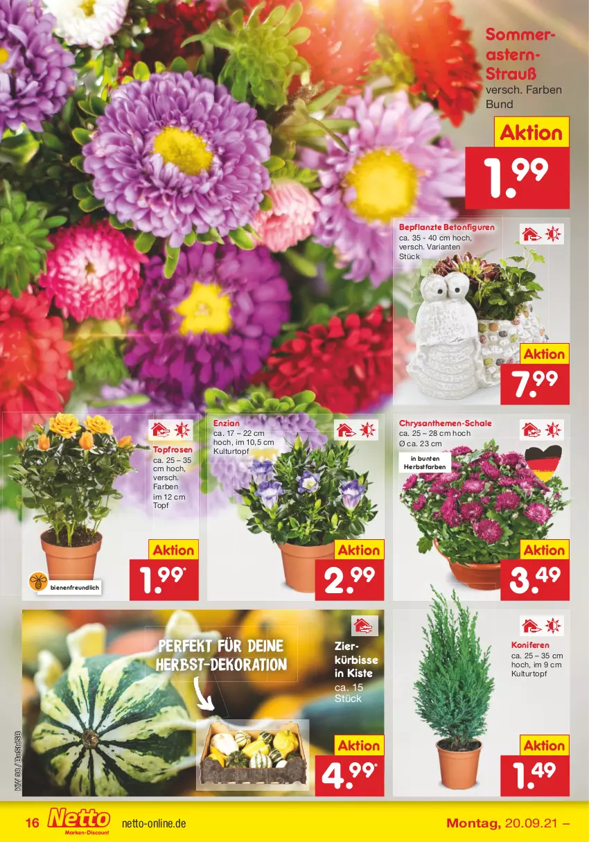 Aktueller Prospekt Netto Marken-Discount - Filial Angebote - von 20.09 bis 25.09.2021 - strona 16