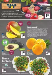 Gazetka promocyjna E Center - Angebote der Woche - Gazetka - ważna od 25.02 do 25.02.2023 - strona 5 - produkty: Bau, beko, deka, eis, erde, fleisch, frucht, fruchtfleisch, mac, mango, mangos, nuss, pfirsich, saft, Sport, tee, Ti