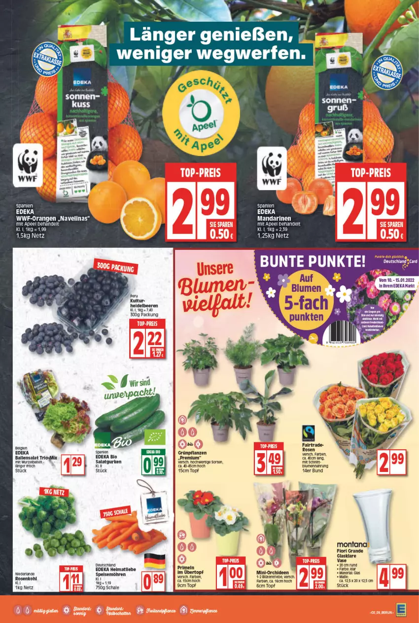 Aktueller Prospekt Edeka - Angebote der Woche - von 10.01 bis 15.01.2022 - strona 9 - produkty: ball, beere, beeren, bio, blume, blumen, Blüte, deka, edeka bio, elinas, Grünpflanzen, heidelbeere, heidelbeeren, mandarine, mandarinen, navelina, orange, orangen, orchidee, orchideen, pflanze, pflanzen, rosen, Rosenkohl, salat, Schal, Schale, Ti, topf, übertopf