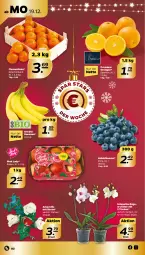 Gazetka promocyjna Netto - Woche 51 - Gazetka - ważna od 24.12 do 24.12.2022 - strona 2 - produkty: banane, bananen, beere, beeren, bio, clementinen, heidelbeere, heidelbeeren, Mett, orange, orangen, orchidee, Pink Lady, rosen, Schmetterling, Ti, topf