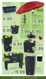 Gazetka promocyjna Kodi - Prospekte - Gazetka - ważna od 19.05 do 19.05.2022 - strona 4 - produkty: blume, blumen, Hängeampel, pflanze, pflanzen, Pflanztopf, schirme, schirmständer, shake, sonnenschirm, Sonnenschirmhalter, Ti, topf, uv-schutz, wasser