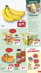 Gazetka promocyjna Famila - Prospekte - Gazetka - ważna od 21.09 do 21.09.2024 - strona 3 - produkty: banane, bananen, beere, beeren, Birnen, clementinen, dessert, desserts, dessertsauce, eis, flasche, früchte, früchten, heidelbeere, heidelbeeren, himbeer, himbeere, himbeeren, LG, obst, quark, reis, rezept, rezept-tipp, sahne, salat, sauce, Schal, Schale, schlagsahne, smoothie, smoothies, speisequark, tafeläpfel, tafelbirnen, Ti, vanille, ZTE