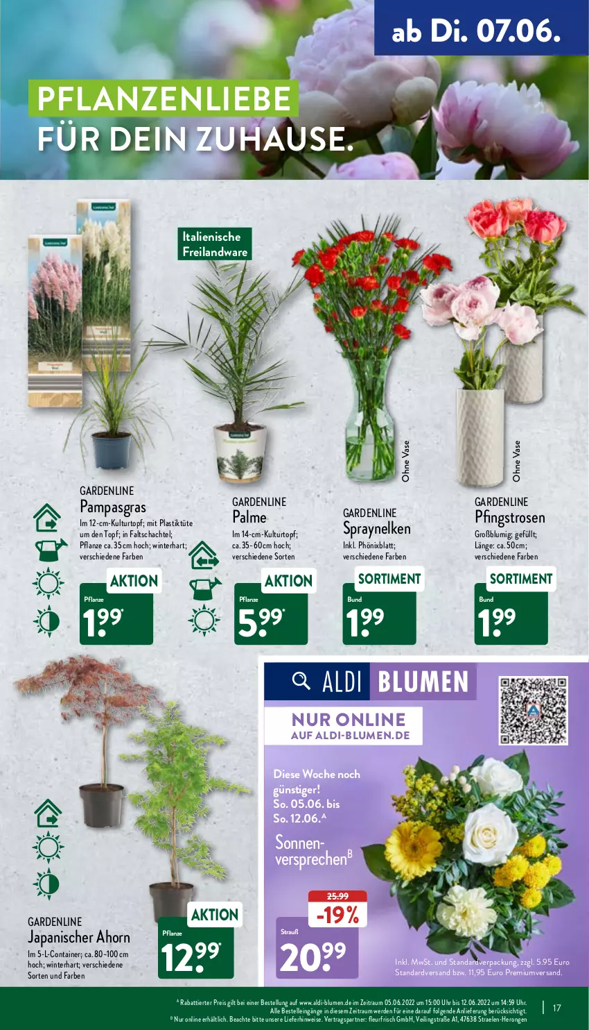 Aktueller Prospekt Aldi Nord - Aldi-Vorschau - von 07.06 bis 11.06.2022 - strona 17 - produkty: aldi, asti, blume, blumen, Blüte, Brei, Container, eis, elle, erde, gin, hero, kulturtopf, LG, Pfingstrosen, pflanze, pflanzen, reis, rosen, Ti, topf, Tüte, uhr, Vase, ZTE