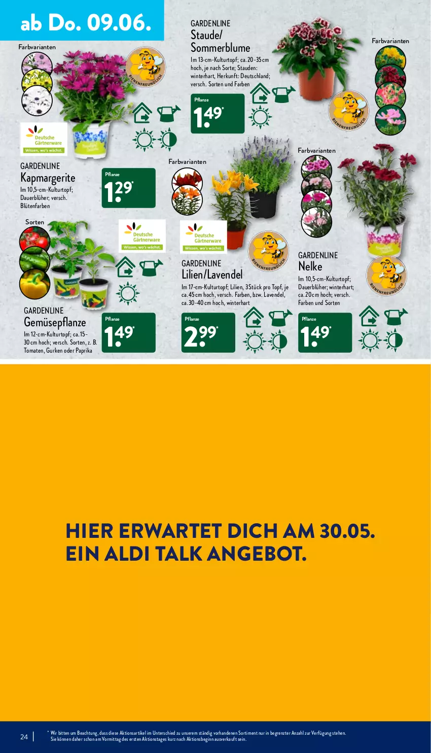 Aktueller Prospekt Aldi Nord - Aldi-Vorschau - von 07.06 bis 11.06.2022 - strona 24 - produkty: aldi, aldi talk, angebot, auer, blume, Blüte, Brei, gin, gurke, gurken, kulturtopf, lavendel, mais, paprika, pflanze, Ria, stauden, Ti, tomate, tomaten, topf, ZTE