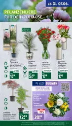 Gazetka promocyjna Aldi Nord - Aldi-Vorschau - Gazetka - ważna od 11.06 do 11.06.2022 - strona 17 - produkty: aldi, asti, blume, blumen, Blüte, Brei, Container, eis, elle, erde, gin, hero, kulturtopf, LG, Pfingstrosen, pflanze, pflanzen, reis, rosen, Ti, topf, Tüte, uhr, Vase, ZTE