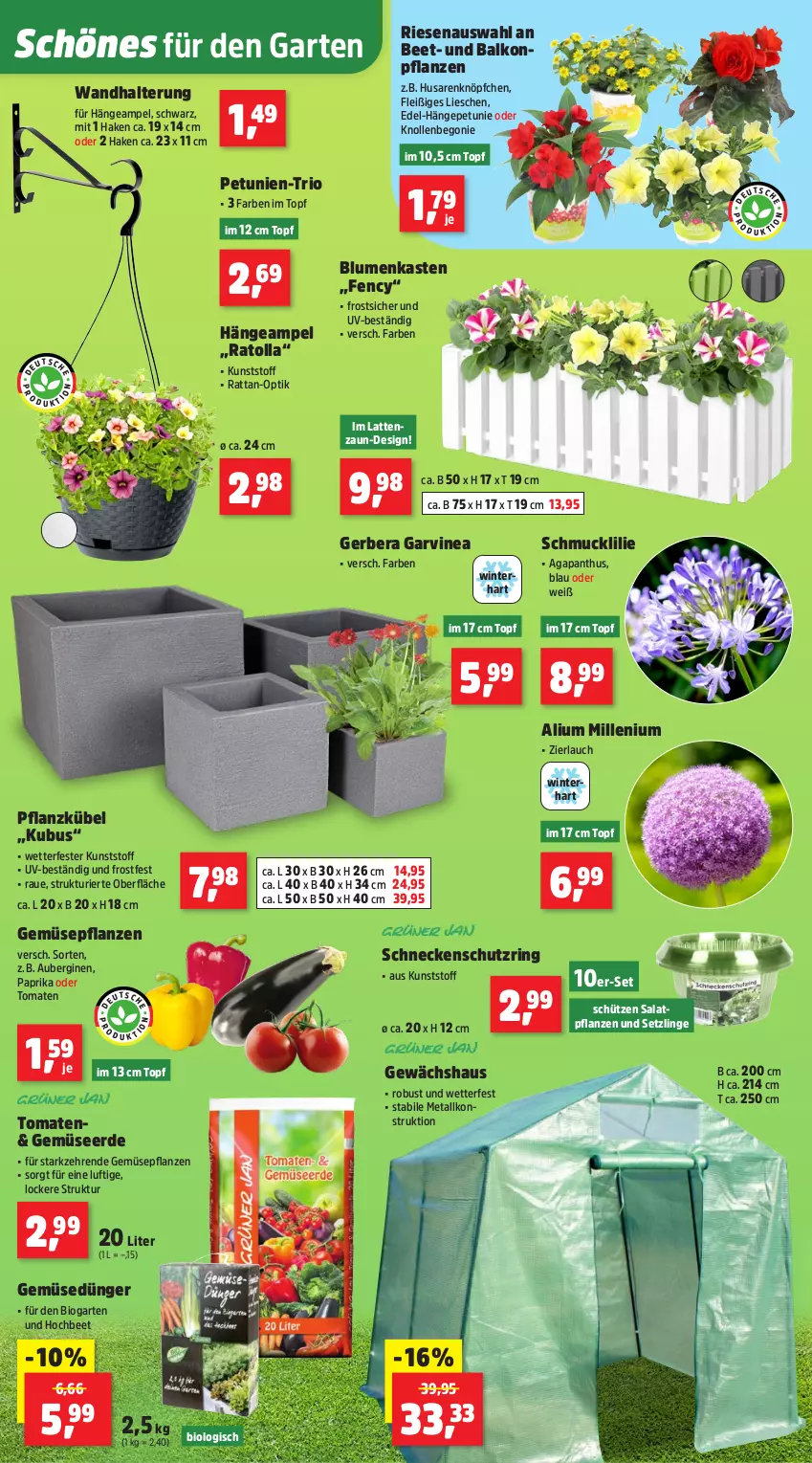 Aktueller Prospekt Thomas Philipps - von 26.05 bis 31.05.2025 - strona 4 - produkty: aubergine, auberginen, balkonpflanzen, Begonie, bio, blume, blumen, dünger, erde, Garten, Gemüsedünger, Gemüseerde, Gerber, Gewächshaus, gin, Hängeampel, latte, paprika, petunie, petunien, pflanze, pflanzen, ring, salat, Schmuck, Schütze, Ti, tomate, tomaten, topf, wandhalterung