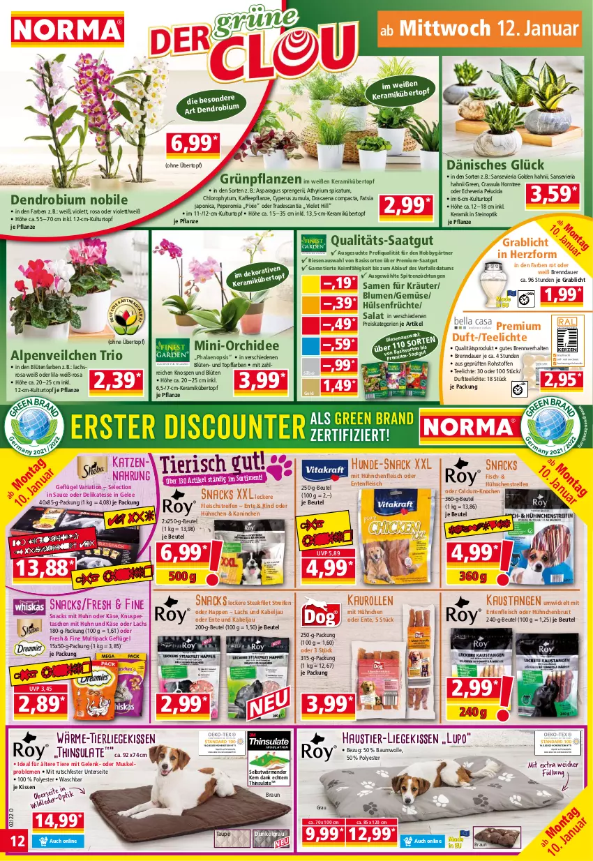 Aktueller Prospekt Norma - Norma - von 10.01 bis 17.01.2022 - strona 12 - produkty: Alpenveilchen, auer, aust, Bau, baumwolle, beutel, blume, blumen, Blüte, braun, Calcium, Duftteelichte, eis, ente, filet, fisch, fleisch, früchte, Geflügel, gelee, Grünpflanzen, Hobby, hülsenfrüchte, kaffee, Käse, katzennahrung, kissen, kräuter, kulturtopf, lachs, LG, Liege, orchidee, pflanze, pflanzen, phalaenopsis, reifen, reis, Ria, rind, salat, sauce, senf, snack, snacks, steak, Stier, Tasche, taschen, tee, Teelicht, teelichte, Ti, Tiere, topf, übertopf, WICK, Wild, wolle