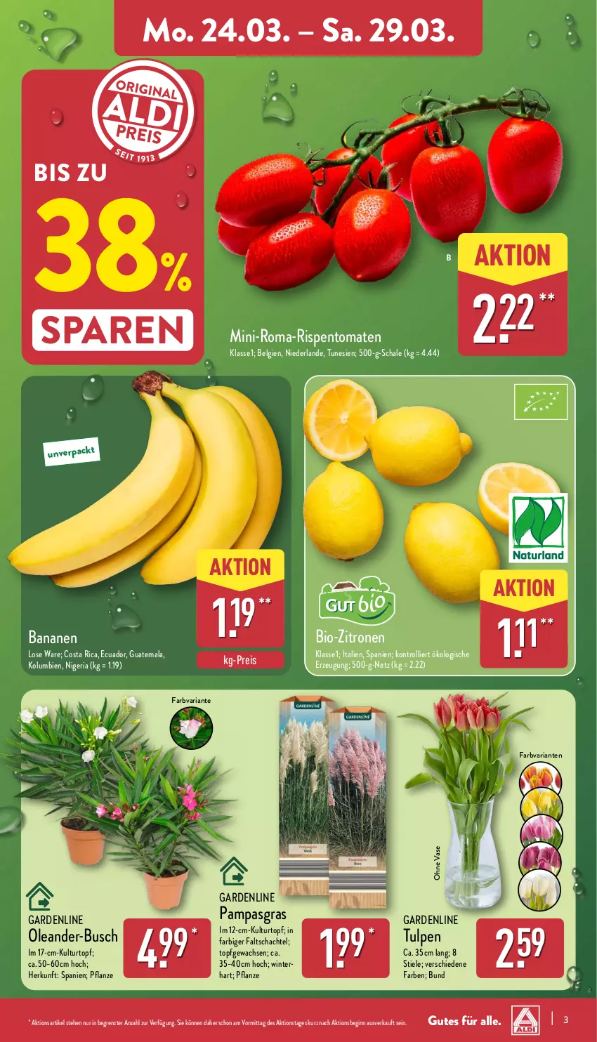 Aktueller Prospekt Aldi Nord - Von Montag - von 24.03 bis 29.03.2025 - strona 3 - produkty: banane, bananen, bio, bio-zitronen, eis, gin, kulturtopf, LG, pflanze, reis, Ria, rispentomaten, Schal, Schale, Ti, tomate, tomaten, topf, trolli, Vase, zitrone, zitronen, ZTE