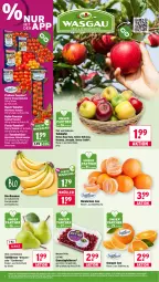 Gazetka promocyjna Wasgau - Gazetka - ważna od 17.10 do 17.10.2026 - strona 6 - produkty: angebot, apfel, auer, banane, bananen, bio, bio-bananen, Birnen, cocktail, eis, grana, granatapfel, granatapfelkerne, mandarine, mandarinen, natur, obst, orange, orangen, pralinen, Rana, Rauch, reis, Rubin, Schal, Schale, strauchtomaten, tafeläpfel, tafelbirnen, Ti, tomate, tomaten