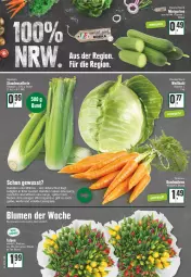 Gazetka promocyjna Edeka - Angebote der Woche - Gazetka - ważna od 28.01 do 28.01.2023 - strona 8 - produkty: angebot, blume, blumen, elle, gurke, gurken, karotten, LG, möhren, orange, orangen, stauden, Ti