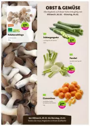Gazetka promocyjna Denns Biomarkt - Prospekte - Gazetka - ważna od 15.03 do 15.03.2022 - strona 2 - produkty: angebot, angebote, bio, clementinen, fenchel, gurke, kräuter, Kräuterseitlinge, LG, obst, Ti