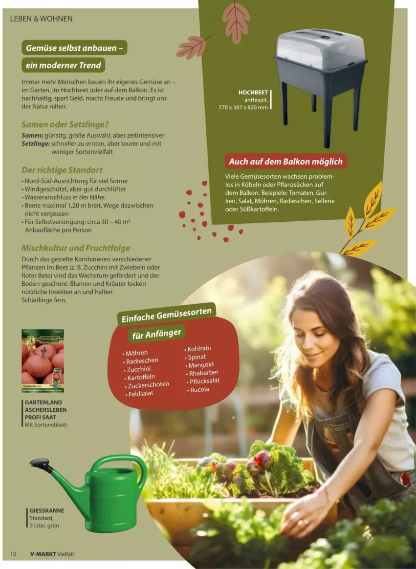Aktueller Prospekt Vmarkt - Prospekte - von 10.09 bis 24.09.2025 - strona 10 - produkty: Bau, blume, blumen, Brei, eis, elle, ente, frucht, Garten, kräuter, LG, mac, mit zwiebeln, möhren, natur, pflanze, pflanzen, radieschen, ring, salat, sekt, Spiele, Ti, tomate, tomaten, wasser, zucchini, zwiebel, zwiebeln