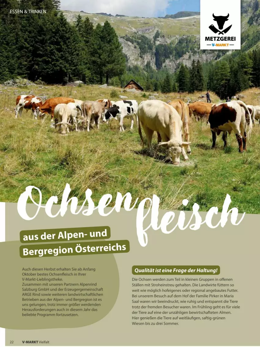 Aktueller Prospekt Vmarkt - Prospekte - von 10.09 bis 24.09.2025 - strona 22 - produkty: Bau, eis, erde, Feigen, fleisch, leine, Ria, rind, saft, salz, senf, Ti, Tiere