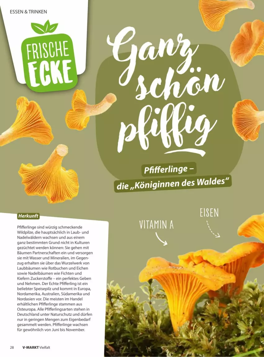 Aktueller Prospekt Vmarkt - Prospekte - von 10.09 bis 24.09.2025 - strona 28 - produkty: aust, buch, eis, erde, gin, natur, Pfifferlinge, pilze, ring, Ti, wasser, Wild, zucker