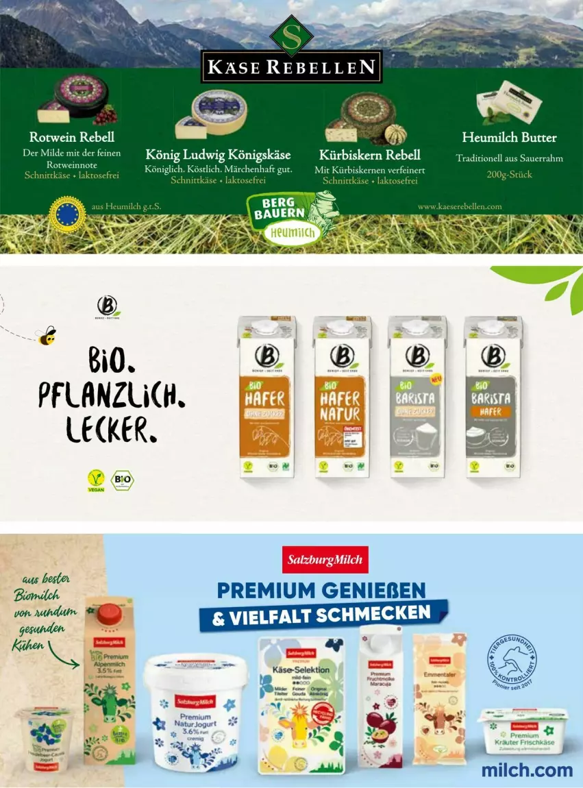 Aktueller Prospekt Vmarkt - Prospekte - von 10.09 bis 24.09.2025 - strona 39 - produkty: auer, bio, butter, Heu, heumilch, Käse, milch, Sauerrahm, tee, Ti