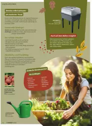 Gazetka promocyjna Vmarkt - Prospekte - Gazetka - ważna od 24.09 do 24.09.2025 - strona 10 - produkty: Bau, blume, blumen, Brei, eis, elle, ente, frucht, Garten, kräuter, LG, mac, mit zwiebeln, möhren, natur, pflanze, pflanzen, radieschen, ring, salat, sekt, Spiele, Ti, tomate, tomaten, wasser, zucchini, zwiebel, zwiebeln