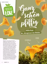 Gazetka promocyjna Vmarkt - Prospekte - Gazetka - ważna od 24.09 do 24.09.2025 - strona 28 - produkty: aust, buch, eis, erde, gin, natur, Pfifferlinge, pilze, ring, Ti, wasser, Wild, zucker
