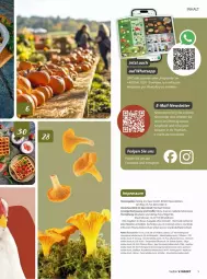 Gazetka promocyjna Vmarkt - Prospekte - Gazetka - ważna od 24.09 do 24.09.2025 - strona 5 - produkty: angebot, angebote, auer, drucker, kaes, Kürbis, LG, moser, pilze, Ria, ring, Ti