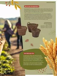 Gazetka promocyjna Vmarkt - Prospekte - Gazetka - ważna od 24.09 do 24.09.2025 - strona 7 - produkty: brot, eier, erde, früchte, honig, korb, krone, Kugel, Liege, natur, obst, Puppe, Rauch, Ti, weihnachten, wein