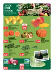 Gazetka promocyjna Feneberg - Prospekte - Gazetka - ważna od 30.09 do 30.09.2023 - strona 6 - produkty: auer, Bau, bio, bohne, bohnen, braun, eis, Feigen, fleisch, frucht, fruchtfleisch, gurke, gurken, Kürbis, lebensmittel, LG, mac, mandarine, mandarinen, mango, orange, Radicchio, reis, saft, Schal, Schale, tee, Ti, tisch, zitrone, zitronen