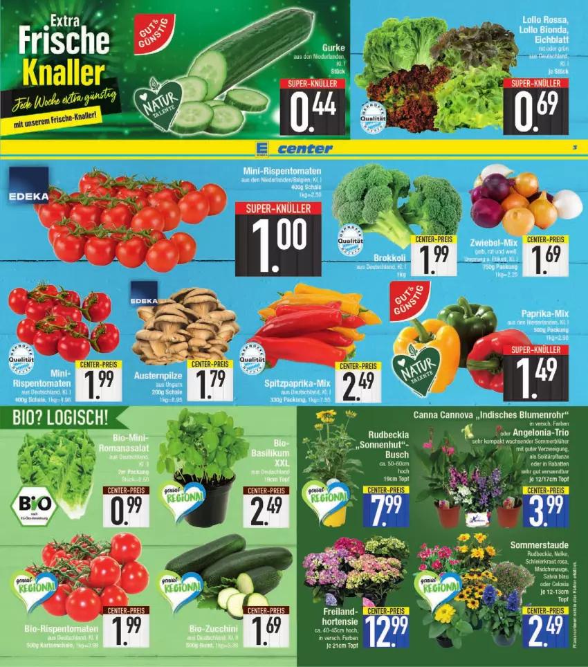 Aktueller Prospekt E Center - Angebote der Woche - von 04.07 bis 09.07.2022 - strona 3 - produkty: Ti