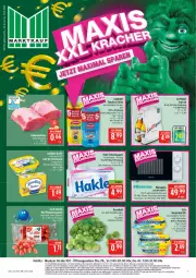 Gazetka promocyjna Marktkauf - Prospekt - Gazetka - ważna od 13.12 do 13.12.2025 - strona 1 - produkty: angebot, angebote, arla, deka, eis, elle, fisch, garraum, hakle, hakle toilettenpapier, LG, mikrowelle, papier, payback, pflaume, pflaumen, reis, ring, saupiquet, schwein, schweine, schweinerücken, Ti, timer, toilettenpapier, tomate, tomaten, uhr, wein, weine, ZTE