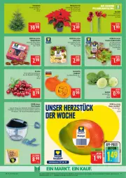Gazetka promocyjna Marktkauf - Prospekt - Gazetka - ważna od 13.12 do 13.12.2025 - strona 11 - produkty: ball, Bau, Datteln, deka, edelstahl, eis, Garten, kirsch, kirsche, kirschen, kohlrabi, kräuter, leine, mac, mango, reis, salat, sauce, saucen, Schal, Schale, Tannenbaum, tee, Ti, topf, tuc, und gemüse, ZTE, zwiebel, zwiebeln