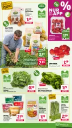Gazetka promocyjna Wasgau - Gazetka - ważna od 25.07 do 25.07.2026 - strona 7 - produkty: apfel, apfelmus, Becher, beere, beeren, beutel, bohne, bohnen, Brei, eis, Frühkartoffeln, Garten, himbeer, himbeere, himbeeren, kartoffel, kartoffeln, kopfsalat, kuchen, Müller, reis, salat, salatherzen, Schal, Schale, snack, speisefrühkartoffeln, Speisezwiebeln, tee, tomate, tomaten, wein, zwiebel, zwiebeln
