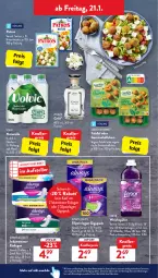 Gazetka promocyjna AldiSud - ALDI Aktuell - Gazetka - ważna od 22.01 do 22.01.2022 - strona 24 - produkty: aldi, alle artikel ohne dekoration, Alwa, Always, dailies, dekoration, Discreet, eis, elle, Falafel, flasche, garden gourmet, gin, knallerpreis, kräuter, lenor, LG, natur, patros, pril, reis, rel, slip, slipeinlagen, teller, Ti, Vegeta, volvic, weichspüler, ZTE