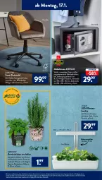 Gazetka promocyjna AldiSud - ALDI Aktuell - Gazetka - ważna od 22.01 do 22.01.2022 - strona 3 - produkty: alle artikel ohne dekoration, batterie, bohne, bohnen, dekoration, drehstuhl, eis, Elektro, elle, gardenline®, gewürz, gin, Kraut, kräuter, latte, Leuchte, möbel, Mode, pflanze, pflanzen, Ria, stuhl, Ti, tisch, ZTE