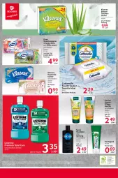 Gazetka promocyjna Selgros - Food - Gazetka - ważna od 14.02 do 14.02.2024 - strona 24 - produkty: balsam, cottonelle, dip, dusche, eis, elle, flasche, fleisch, kneipp, kosmetik, listerine, papier, rwe, shampoo, sim, spülung, syoss, Tasche, taschen, Ti, toilettenpapier, total care, tücher, Yo, Zahnseide, zewa